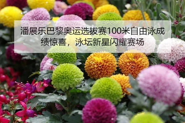 潘展乐巴黎奥运选拔赛100米自由泳成绩惊喜，泳坛新星闪耀赛场