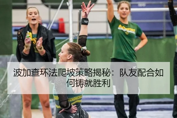 bo-jia-cha-huan-fa-pa-po-ce-lve-jie-mi-dui-you-pei-he-ru-he-zhu-jiu-sheng-li-2-419.jpg
