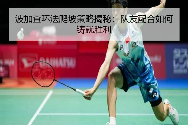 波加查环法爬坡策略揭秘：队友配合如何铸就胜利