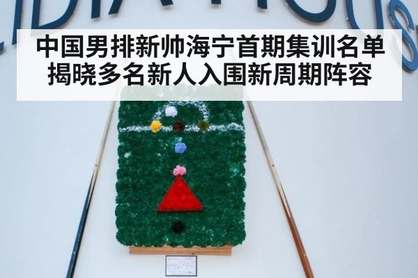 中国男排新帅海宁首期集训名单揭晓多名新人入围新周期阵容